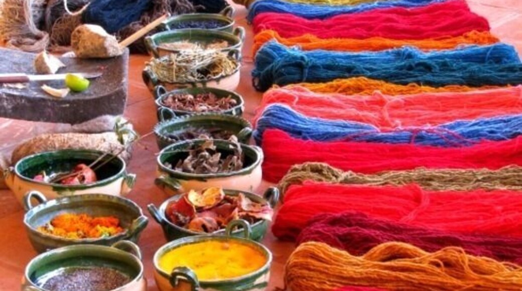 Demonstration on how to obtain natural dyes to give color to wool thread (which is used later to create rugs and other textiles).