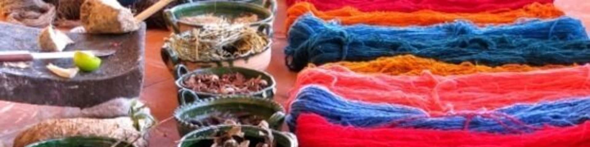 Demonstration on how to obtain natural dyes to give color to wool thread (which is used later to create rugs and other textiles).