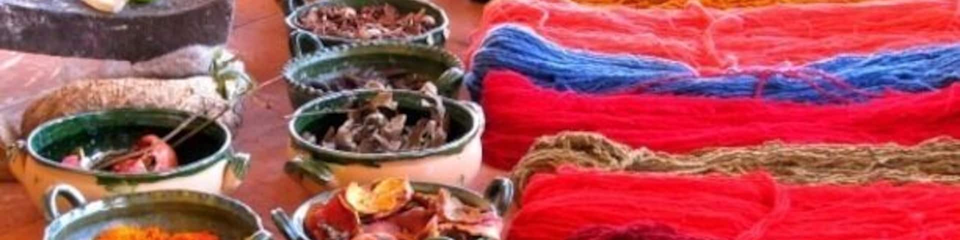 Demonstration on how to obtain natural dyes to give color to wool thread (which is used later to create rugs and other textiles).