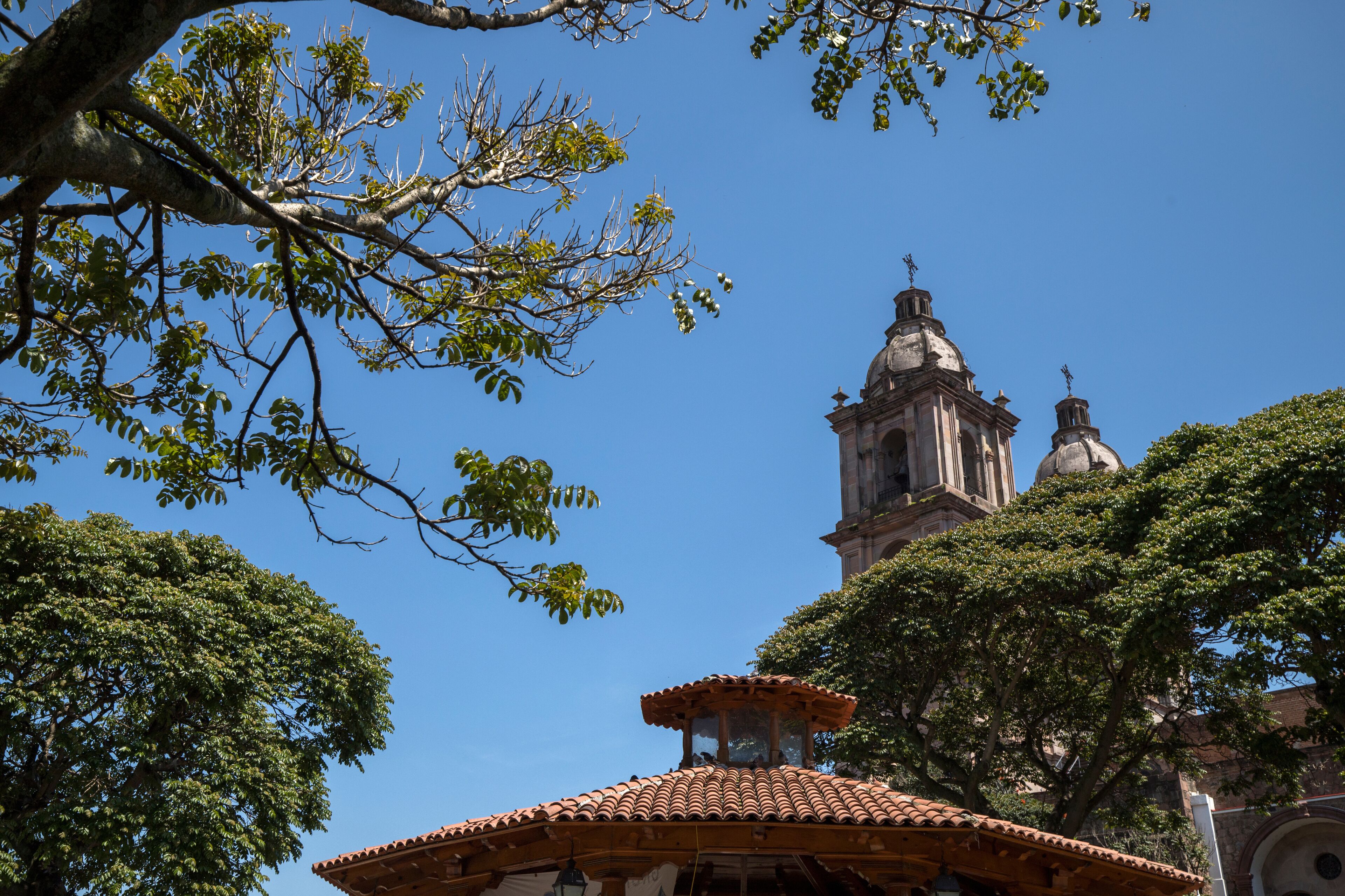 A church with a bell tower and a tiled roof.