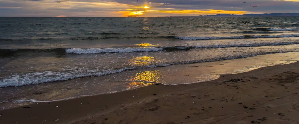 A beach with waves, a sunset, and birds flying.
