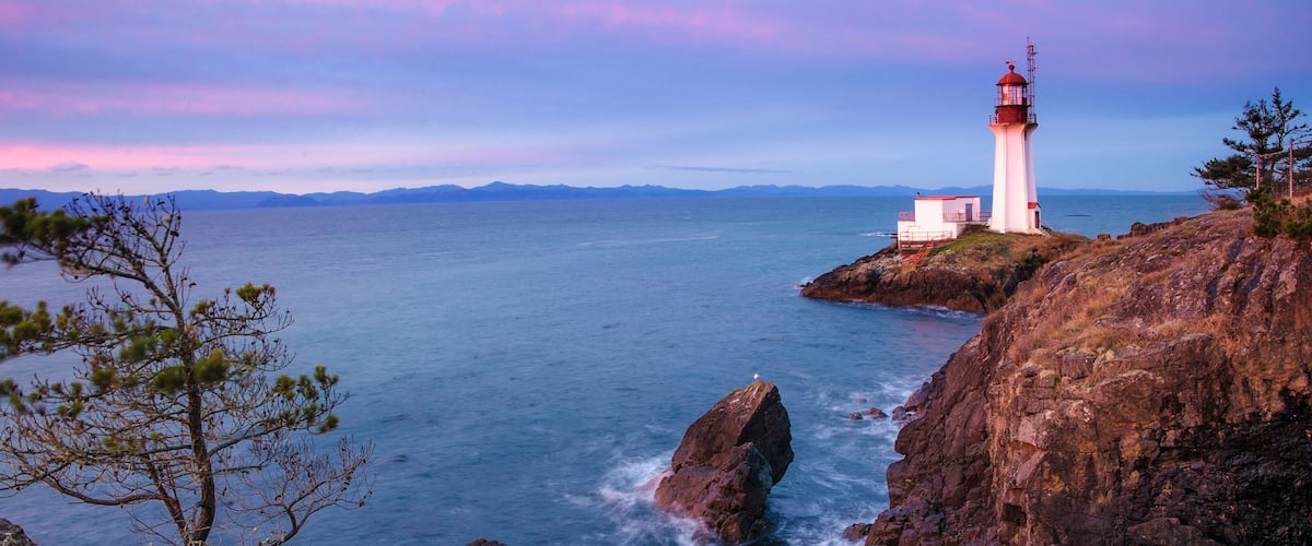 A lighthouse on a rocky coastline with a tree in the foreground and a calm sea.