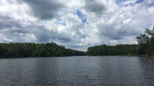 Loudy with a chance of meatballs.