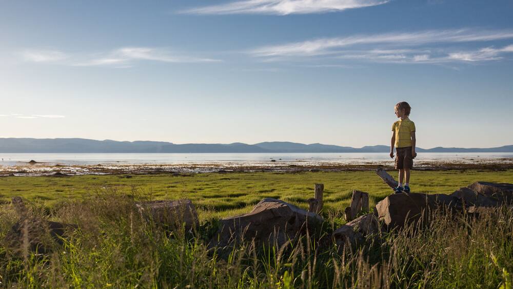 The boy on the shore