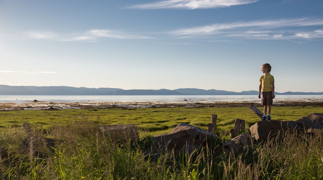 The boy on the shore