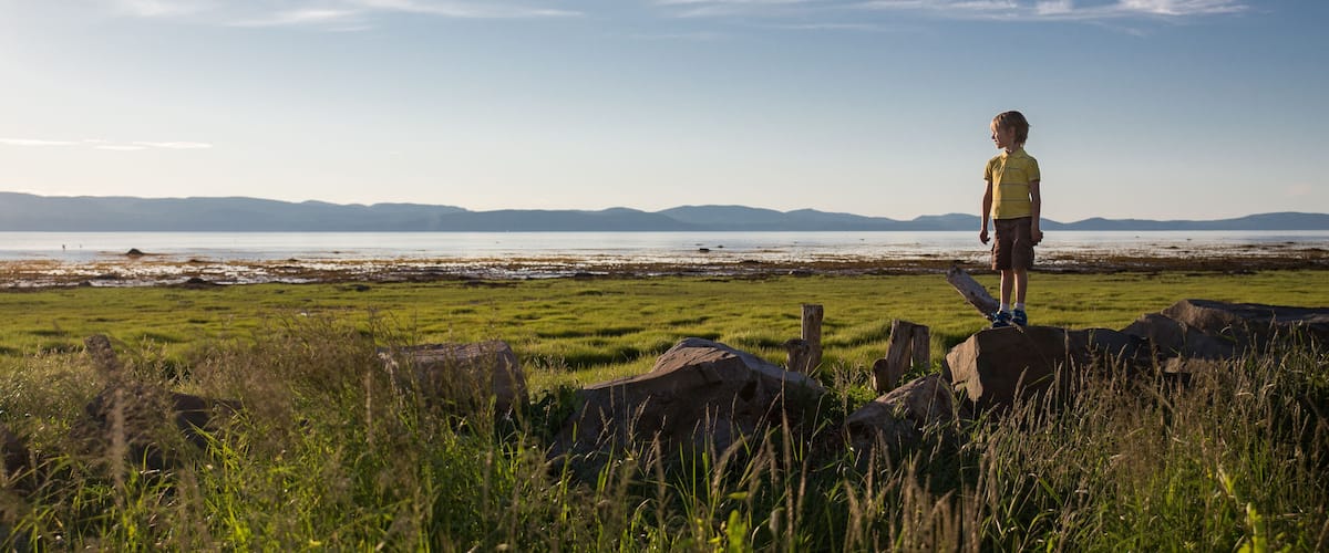 A person standing on rocks overlooking a grassy field with a body of water and distant mountains.