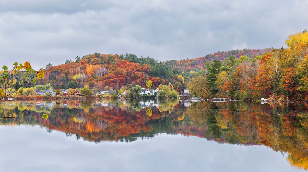 Fall colours along the Gatineau river reflected in the water, Wakefield, Quebec, Canada