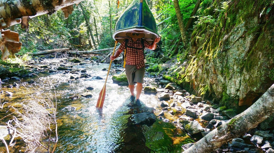 K carrying our canoe down a difficult portage near Mt St Marie, Quebec during our 3 day canoe camping trip. He's a rock star, that canoe is not light!