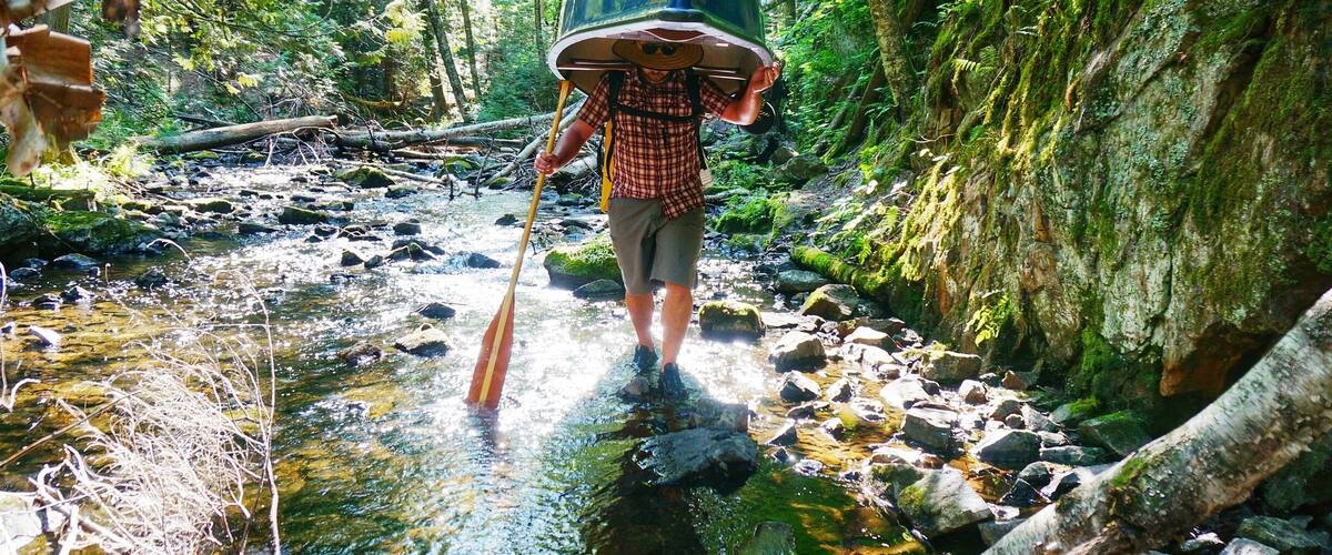 A person crossing a shallow stream in a forested area with rocks and moss-covered trees.
