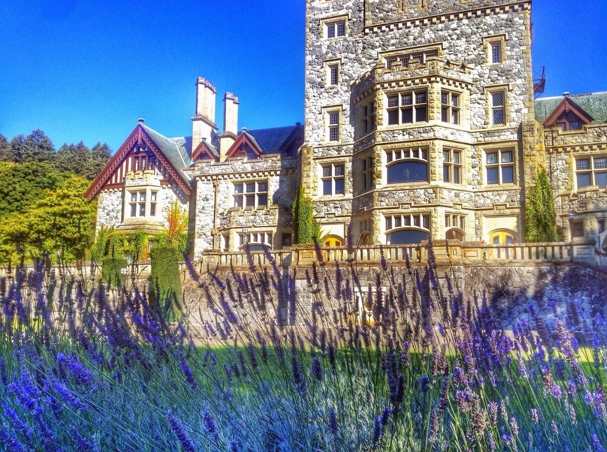 Hatley castle, formerly the lavish estate of John and Laura Dunsmuir, now serves as an historical site and administrative building for Royal Roads University in the outskirts of Victoria, BC. Having also served a few decades as a military college, the castle is steeped in history and is a great place to spend an afternoon.