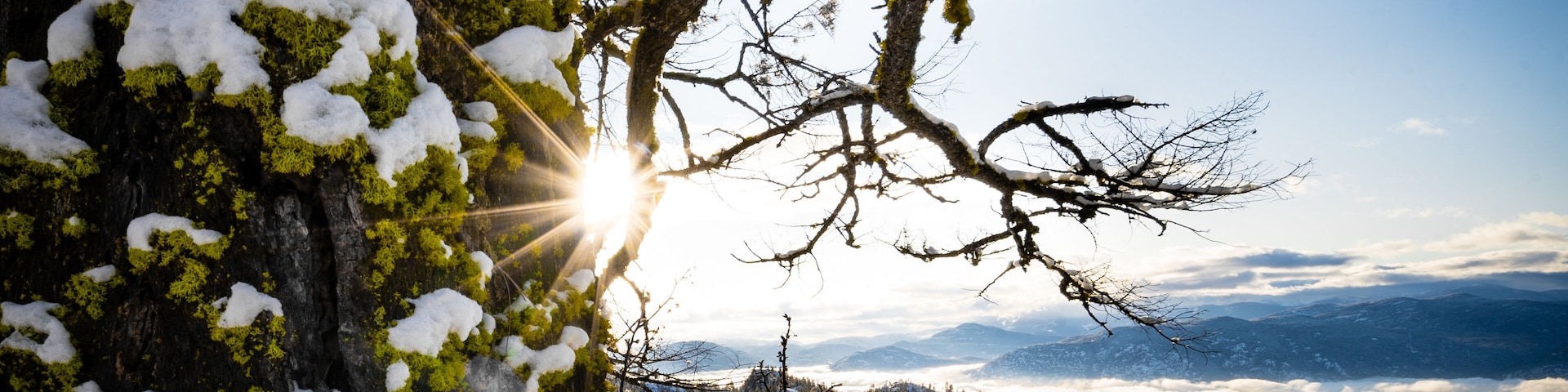 A beautiful winter landscape with the sun coming through a tree on a mountain top it in the Okanagan's very own Penticton bc.