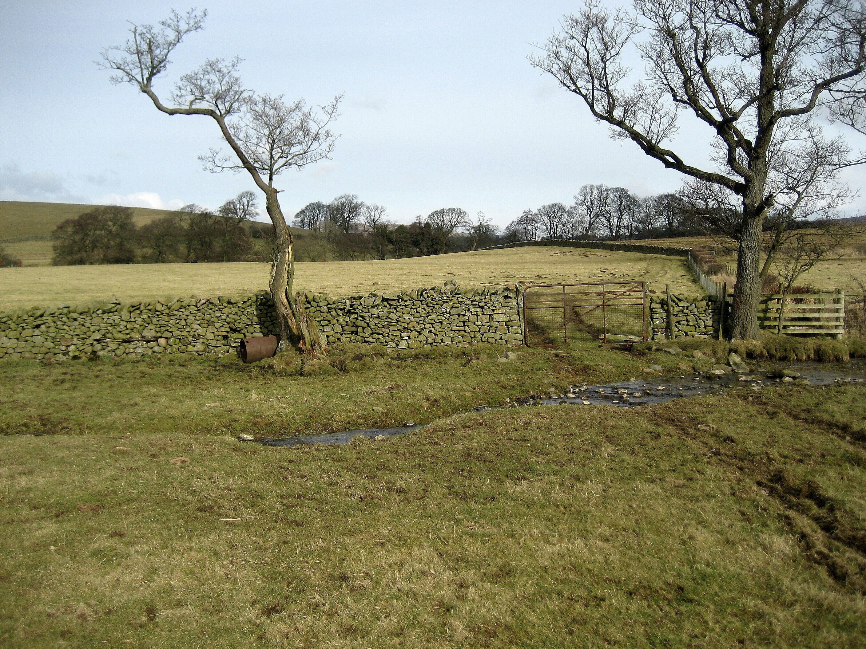 Crossing a Stream South of Ireby Hall Farm The footpath I am following between Burton in Lonsdale and Ireby, crosses this stream before passing through the metal gate on its journey northwards.