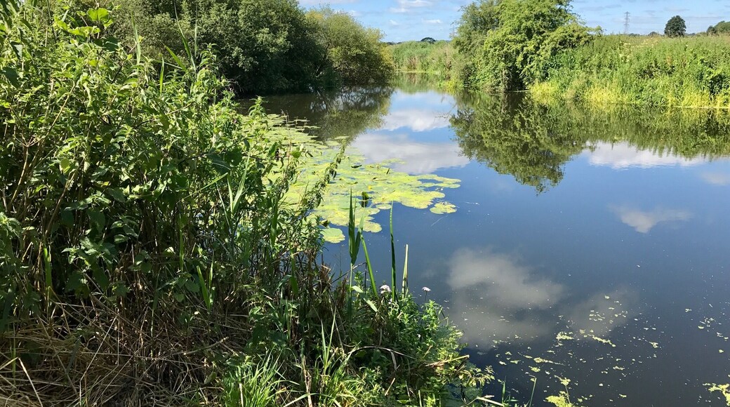 Wiltshire Countryside