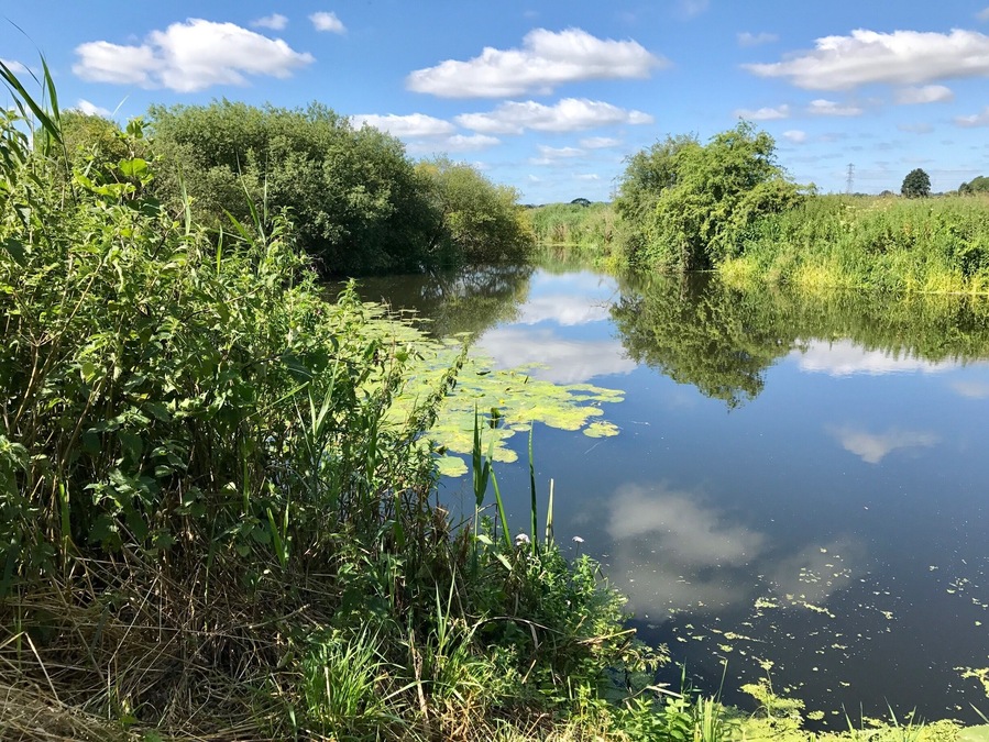 Wiltshire Countryside