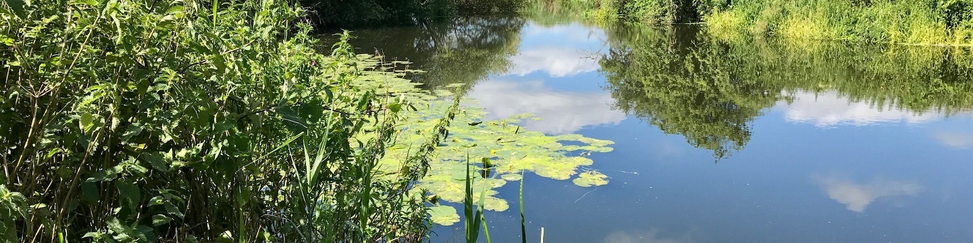 Wiltshire Countryside