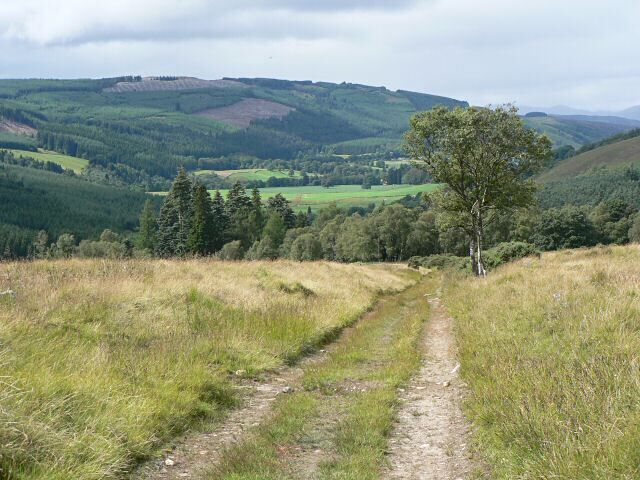 A dirt path leading through a grassy field with a tree on the right and rolling hills in the background.
