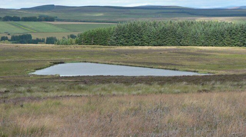 Lochan on Morganston Burn. A small dam has been built on Morganston Burn to create this lochan.