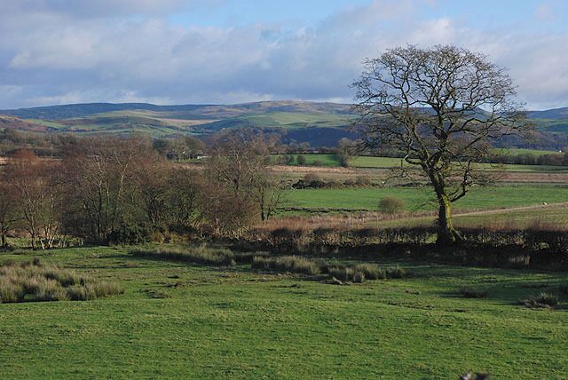 Fields near Pontargamddwr Mainly good grazing land, with the odd unimproved marshland.