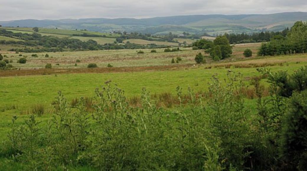 Fields west of the Camddwr Mainly rough grazing, with some just a bit better.