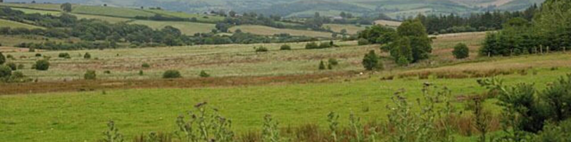 Fields west of the Camddwr Mainly rough grazing, with some just a bit better.