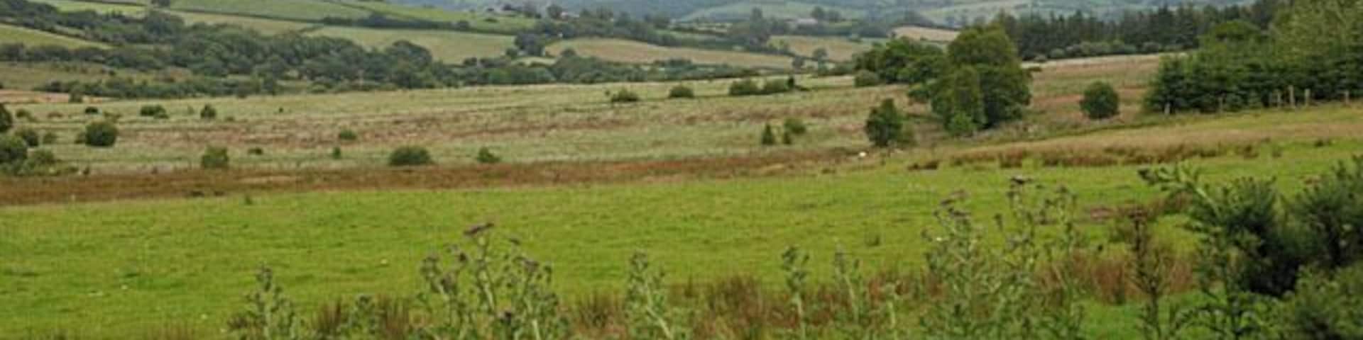 Fields west of the Camddwr Mainly rough grazing, with some just a bit better.