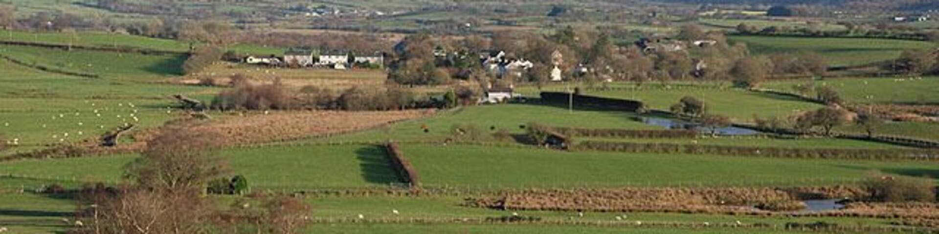 View towards Swyddfynnon Looking over grazing land with the odd marshy bit to the main village on this side of the Cors Caron, with the Cambrian Mountains as the backdrop.