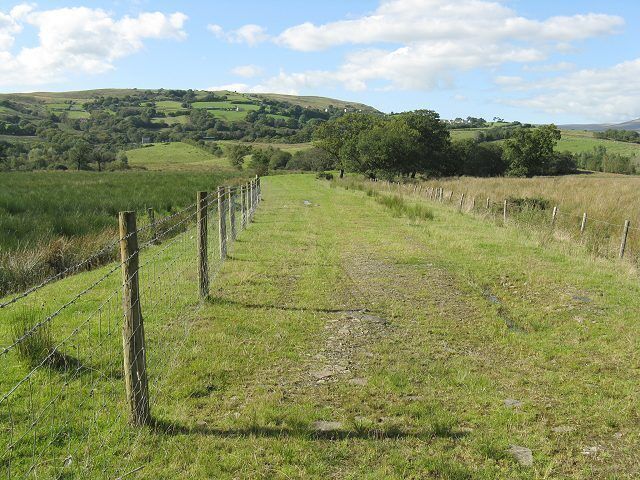 Raised field boundary in former coalfield There have been several collieries here over the years. The sunken fields choked with wet reeds suggest to me that this is restored open cast land. The fence has been erected on a raised causeway which provides much better access than the fields either side.