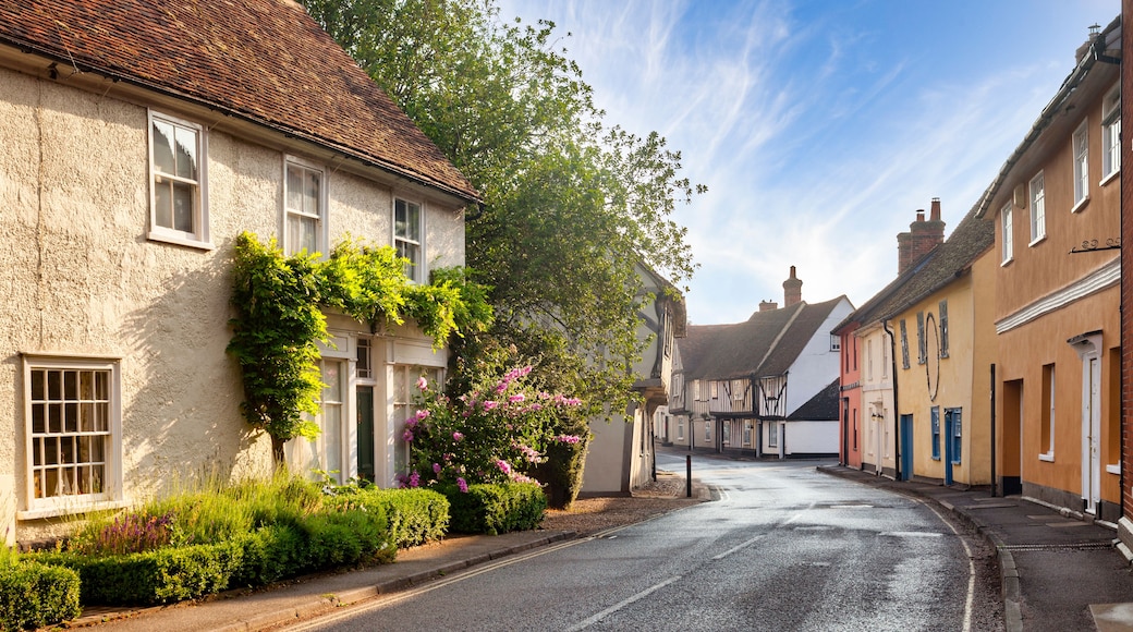A quaint village street lined with traditional half-timbered houses, a cobblestone road, and lush greenery.
