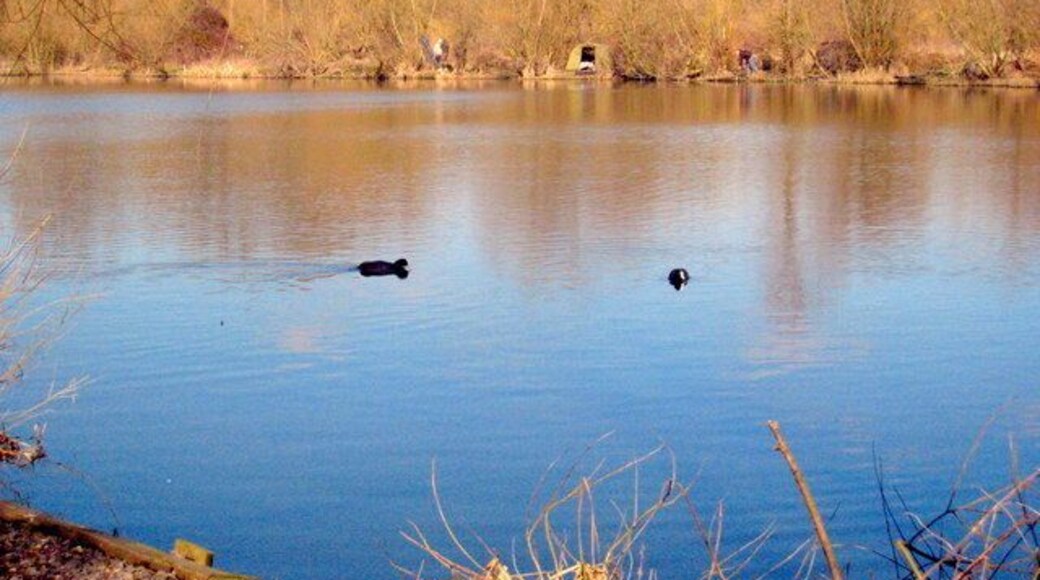 Fishing lake in Trout Road Probably one of the many worked out gravel pits in the area.
