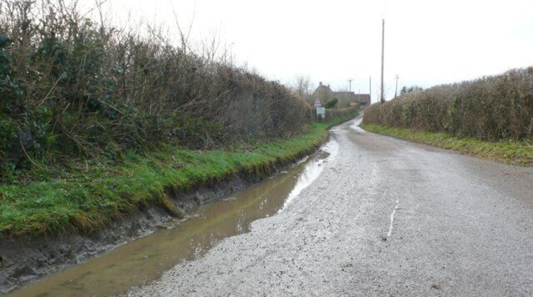 Country Lane near Beer Hackett View east along the lane that runs from Beer Hackett to Kinghton