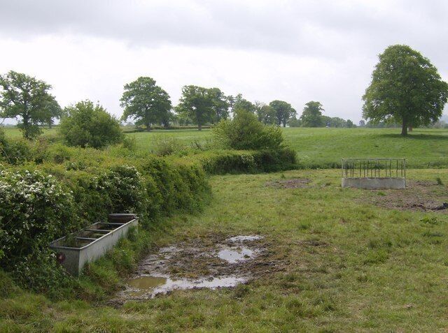 Beyond Knighton Lane Knighton Lane runs to the left of the hedge towards a ford, which crosses a stream seen running across the middle of the picture.