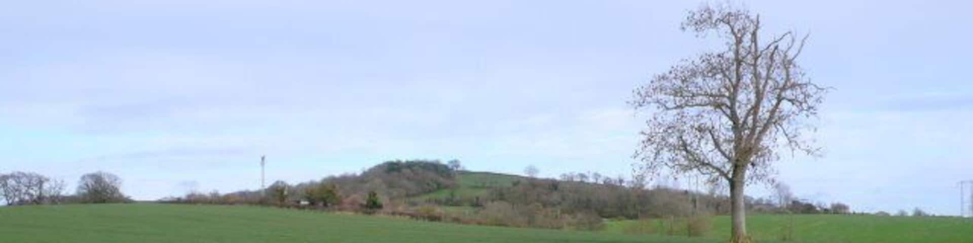 Countryside near Beer Hackett View NE across the square with Knighton Hill in the distance