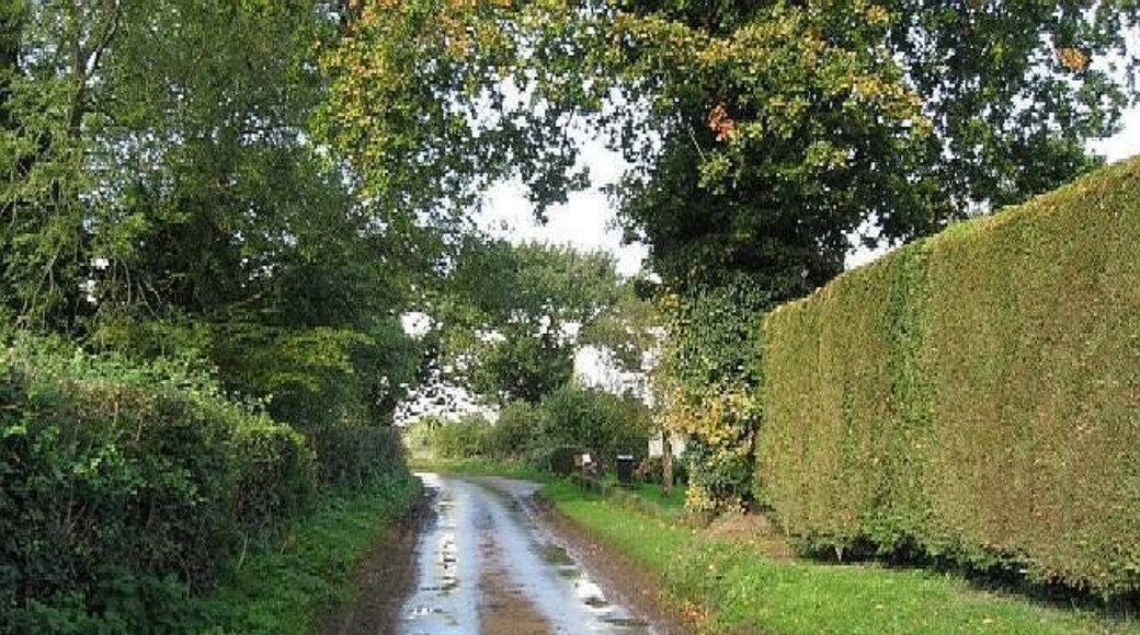The Road To Dereham Close to Yaxham.