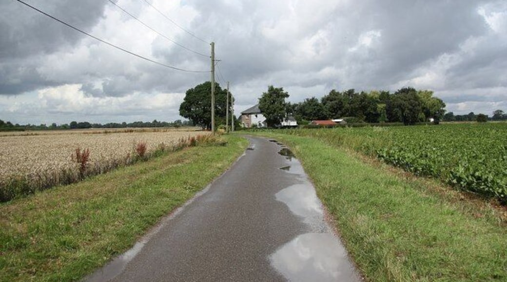 Sandholme Lane View to The Cottage and Ashwind along Sandholme Lane, NCN Route 1