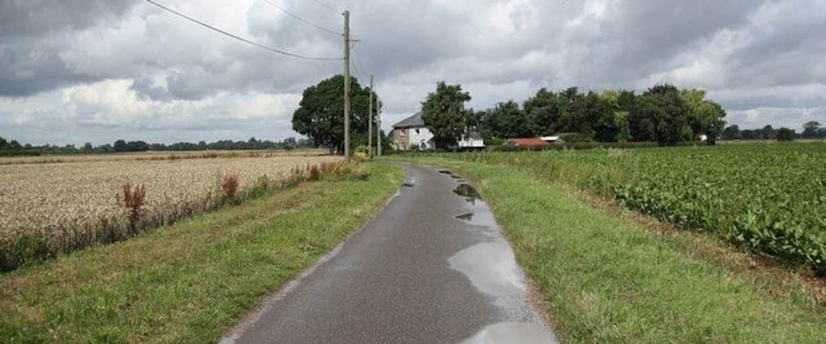 A rural road with puddles, surrounded by fields and houses.