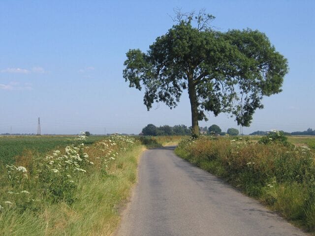 Sandholme Lane, Frampton, Lincolnshire.
