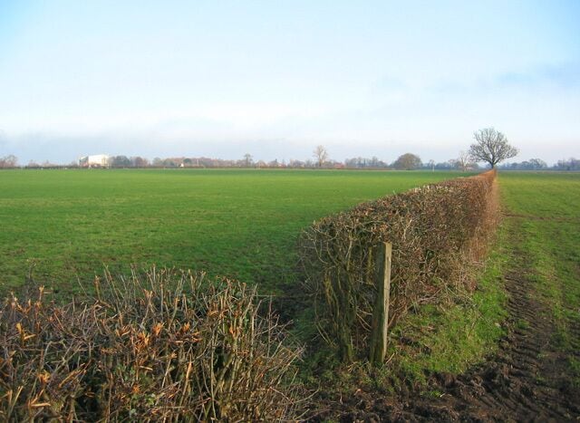 Pasture near The Grange View across flat pasture from Pinsley Green Lane towards the village of Aston. Aston Mill is visible on the horizon (left; see 338389)