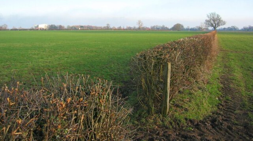 Pasture near The Grange View across flat pasture from Pinsley Green Lane towards the village of Aston. Aston Mill is visible on the horizon (left; see 338389)
