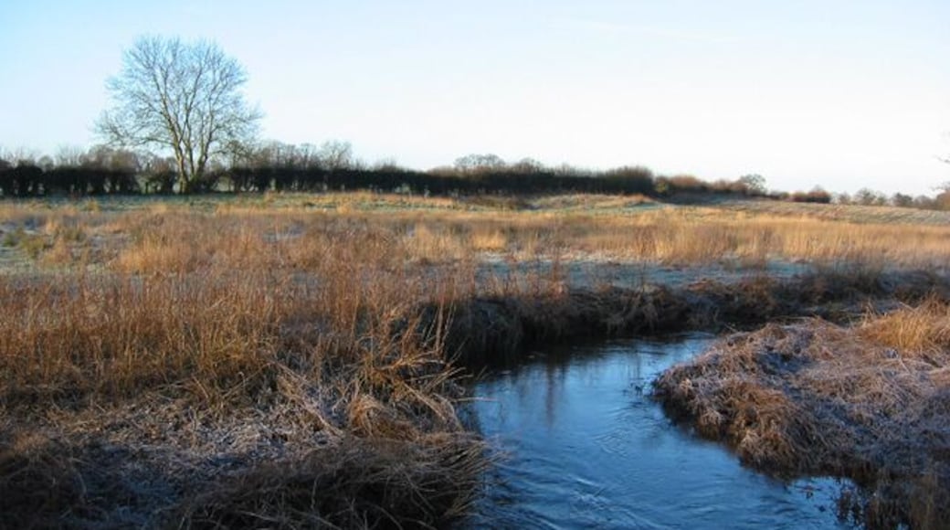 Early morning sun on the River Weaver The Weaver is little more than a stream as it passes through flat pastureland outside the village of Wrenbury. View on a frosty January morning, just west of the bridge on New Lane. A nearby view can be seen in 190703
