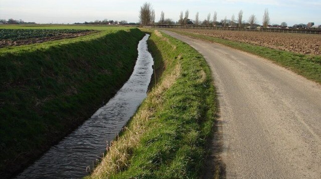 Minor Road and Ditch to East of Old Leake