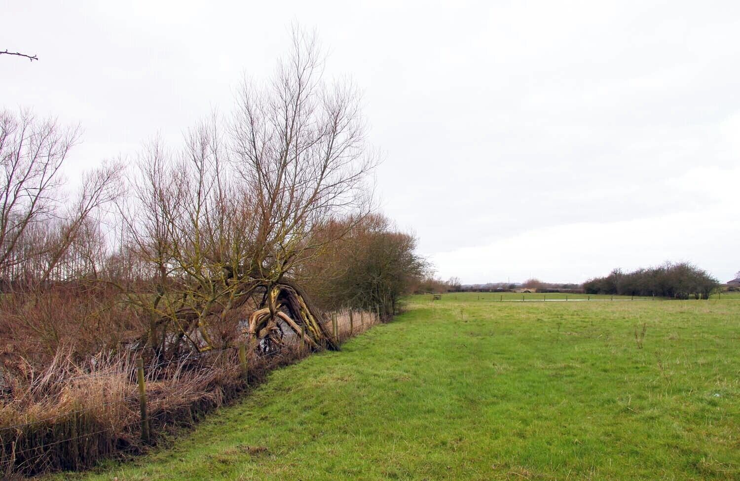 A field by the River Thame