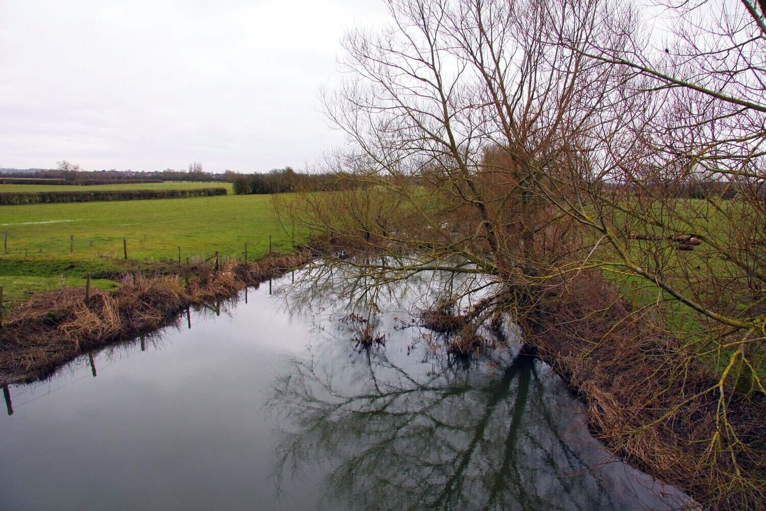 River Thame from Ickford Bridge, on the boundary between Buckinghamshire and Oxfordshire