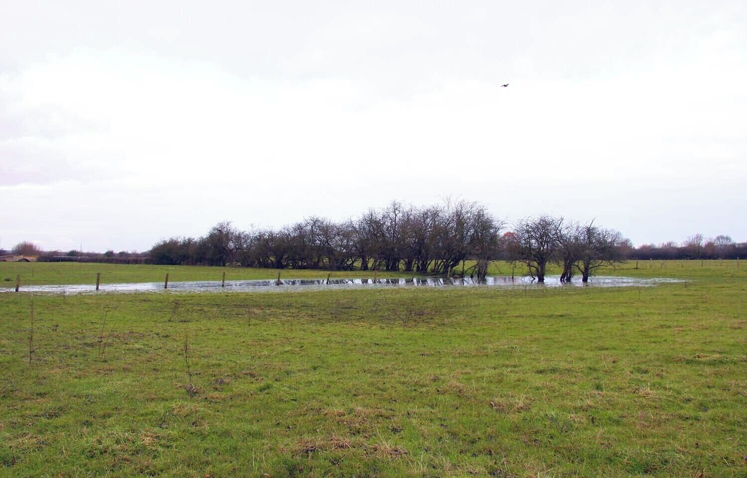 Flooding in the field