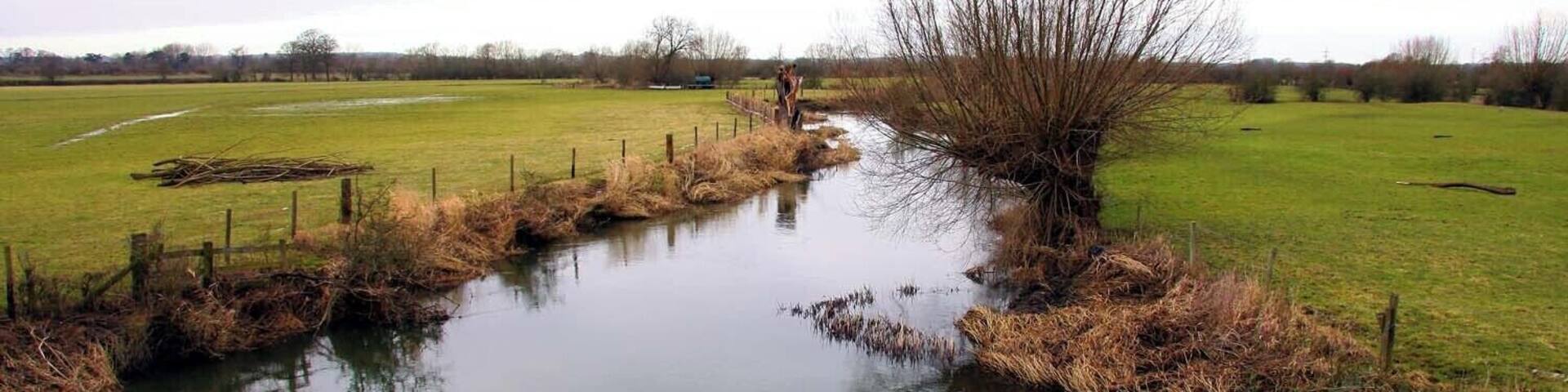 River Thame from Ickford Bridge, on the boundary between Buckinghamshire and Oxfordshire