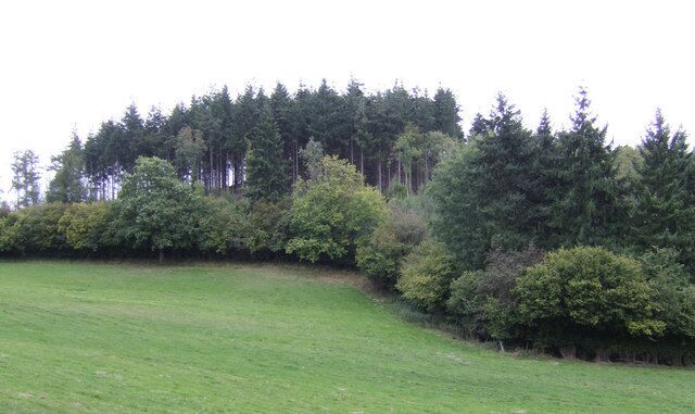 Siege Wood A piece of woodland with an unusual name to the east of the Buckenhill to Woolhope Road.