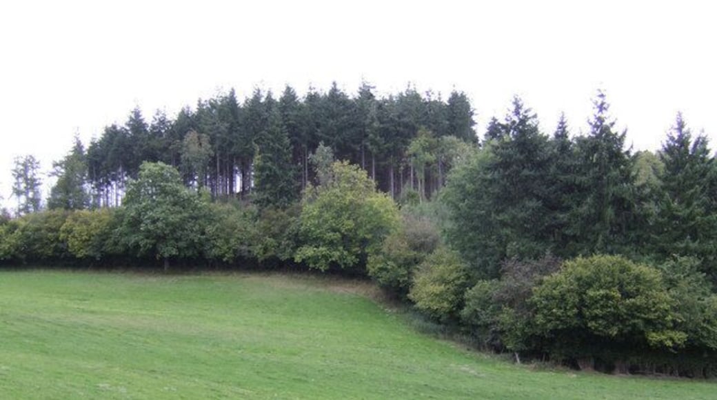 Siege Wood A piece of woodland with an unusual name to the east of the Buckenhill to Woolhope Road.