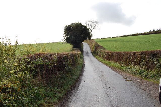 Road towards The Cockshoot