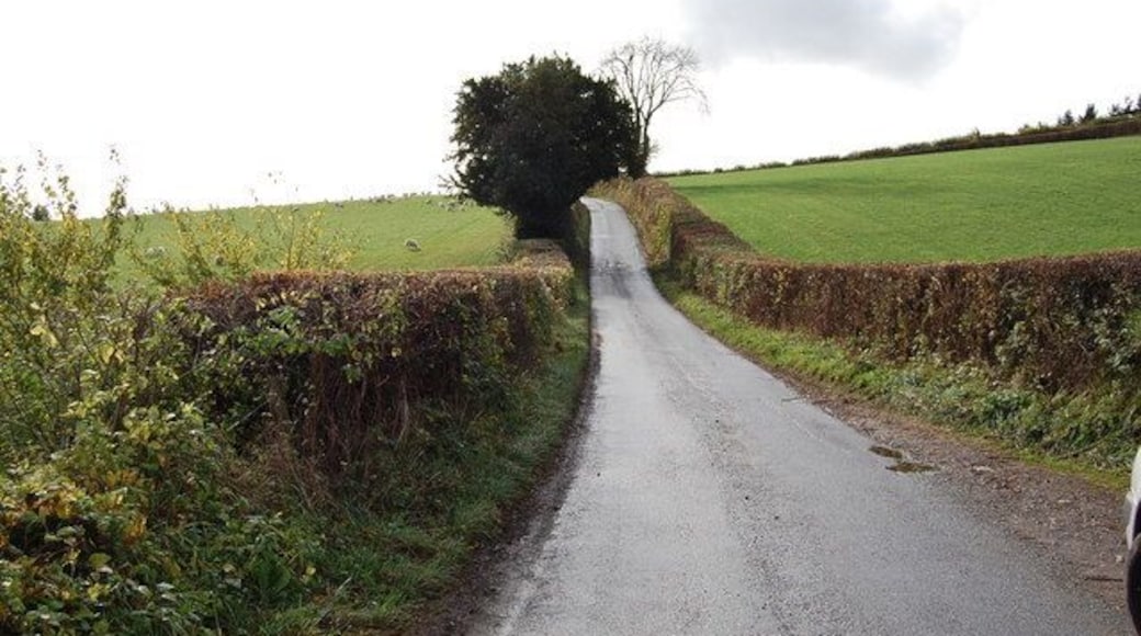 Road towards The Cockshoot