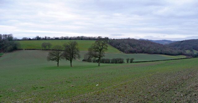 The Woolhope Hills A rolling, wooded tract of countryside well off the beaten track to the south-east of Hereford.