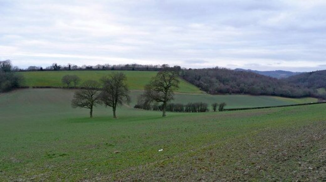 The Woolhope Hills A rolling, wooded tract of countryside well off the beaten track to the south-east of Hereford.